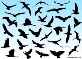 Flying Birds - Free Vectors