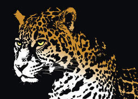 Jaguar  Free Vectors