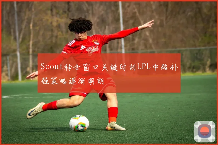 Scout转会窗口关键时刻LPL中路补强策略逐渐明朗